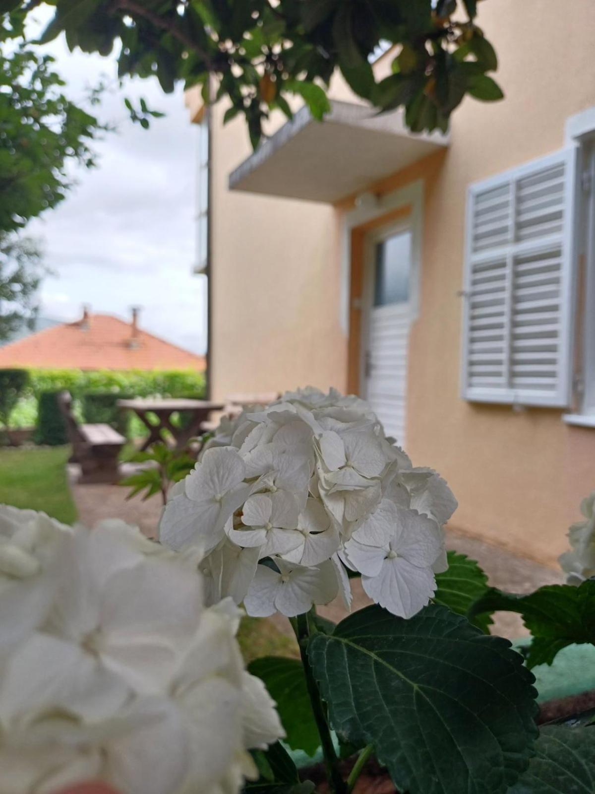 Apartments For Friends Τρέμπινιε Εξωτερικό φωτογραφία