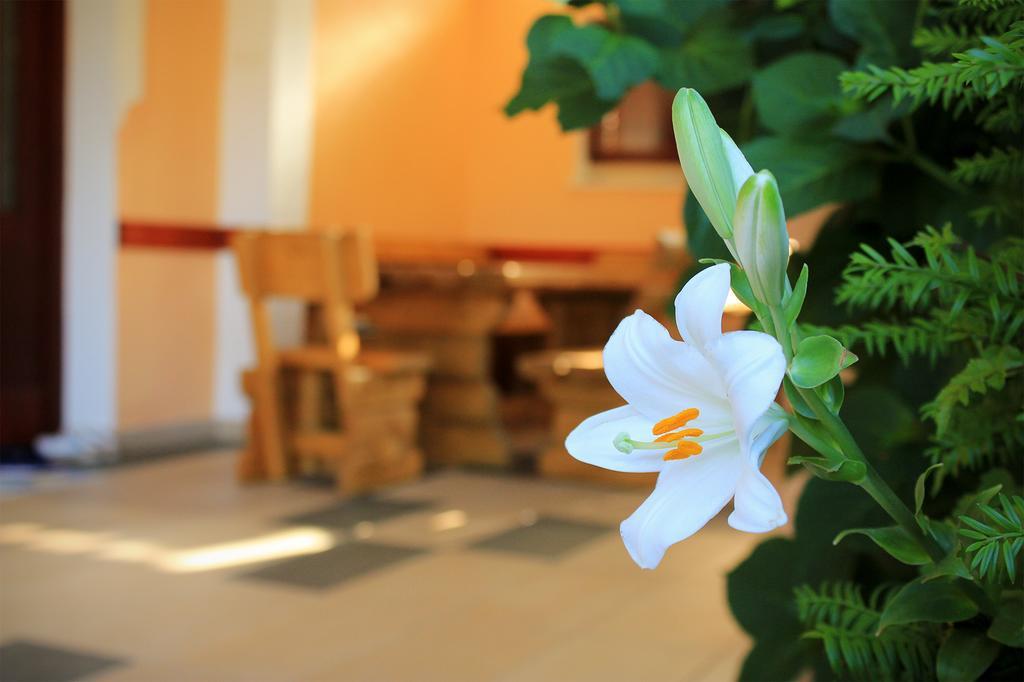 Apartments For Friends Τρέμπινιε Εξωτερικό φωτογραφία